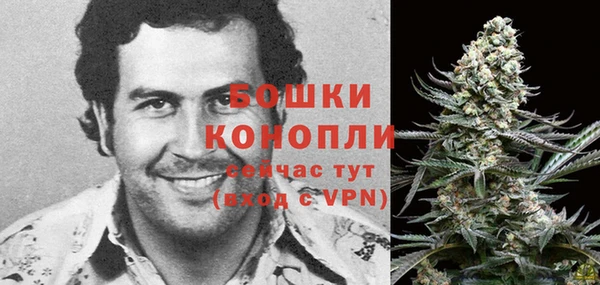 СК Магас