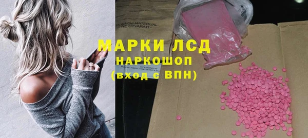 СК Магас