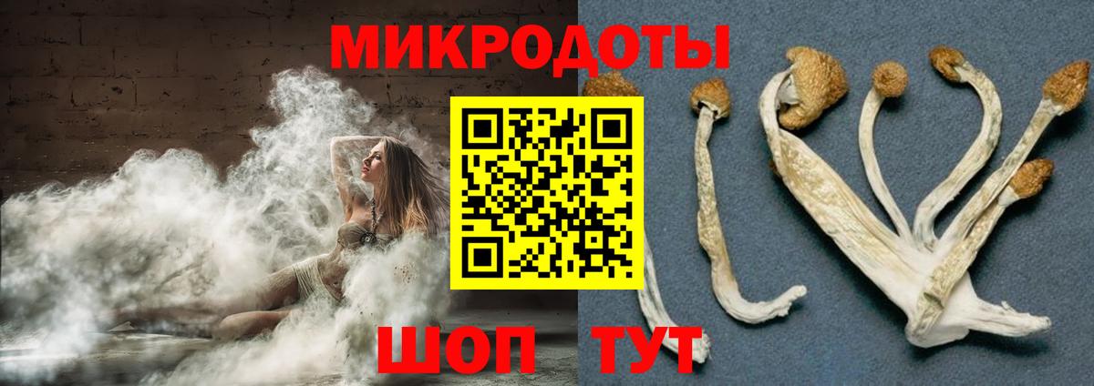 Галлюциногенные грибы Psilocybine cubensis  дарнет шоп  Усть-Кут 