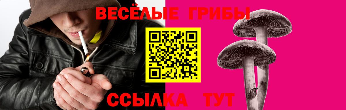 Галлюциногенные грибы Cubensis  Галлюциногенные грибы прущие грибы  Вход с VPN  Усть-Кут 